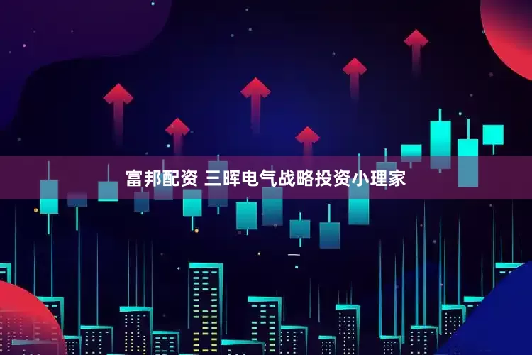 富邦配资 三晖电气战略投资小理家