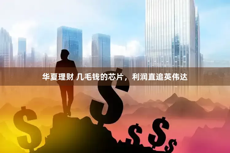 华夏理财 几毛钱的芯片，利润直追英伟达