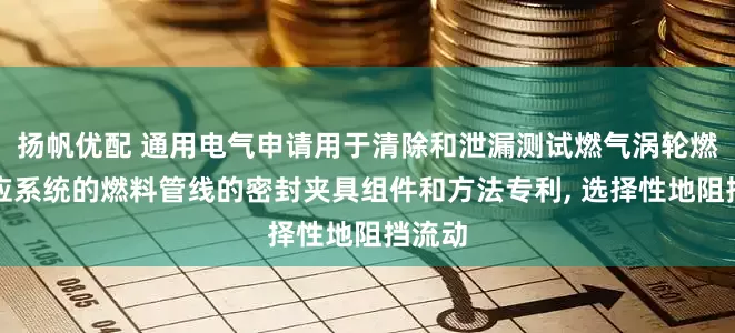 扬帆优配 通用电气申请用于清除和泄漏测试燃气涡轮燃料供应系统的燃料管线的密封夹具组件和方法专利, 选择性地阻挡流动