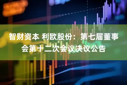 智财资本 利欧股份：第七届董事会第十二次会议决议公告