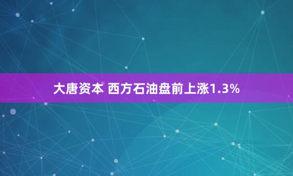 大唐资本 西方石油盘前上涨1.3%