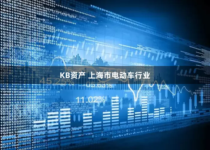 KB资产 上海市电动车行业